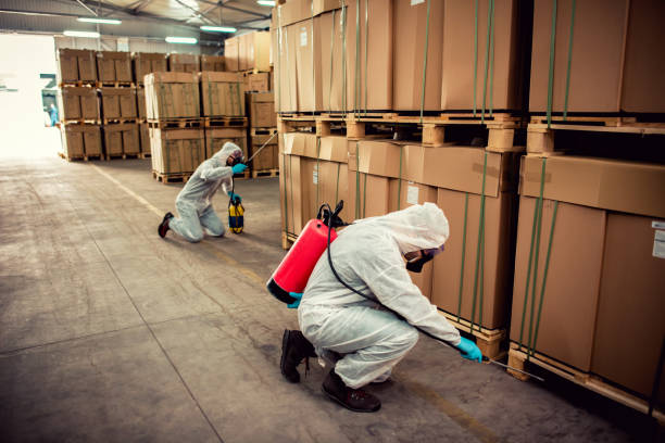 Best Affordable Pest Control Services  in Seaside Heights, NJ
