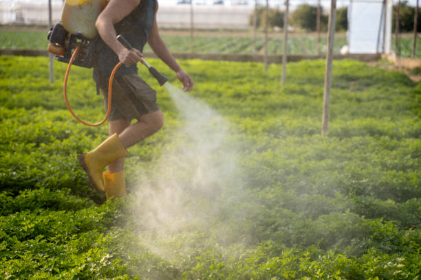 Best Affordable Pest Control Services  in Seaside Heights, NJ