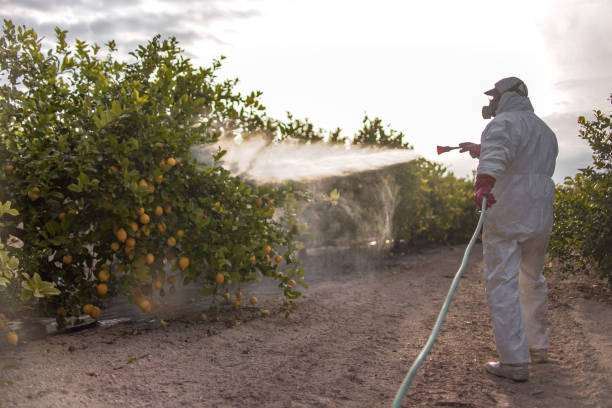 Best Insect Control  in Seaside Heights, NJ